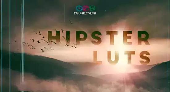 35组时髦文艺青年电影LUTS调色预设 Hipster LUTs