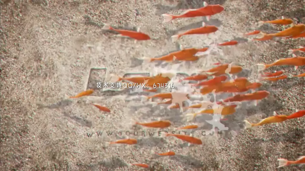 动态动画金鱼学校LOGO标志显示AE模板视频下载(含音频)插图