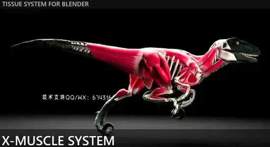 Blender插件-肌肉系统模拟工具 X-Muscle System 4.0插图