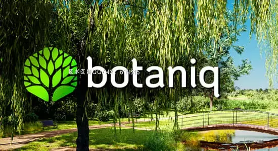 Blender插件-花草树木植物绿化模型预设Botaniq Tree And Grass Library V6.8.1