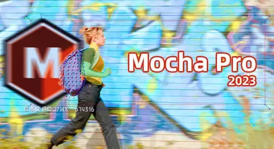 摄像机反求跟踪摩卡软件AE/PR插件 Mocha Pro 2023 v10.0.5 Win CE一键安装插图
