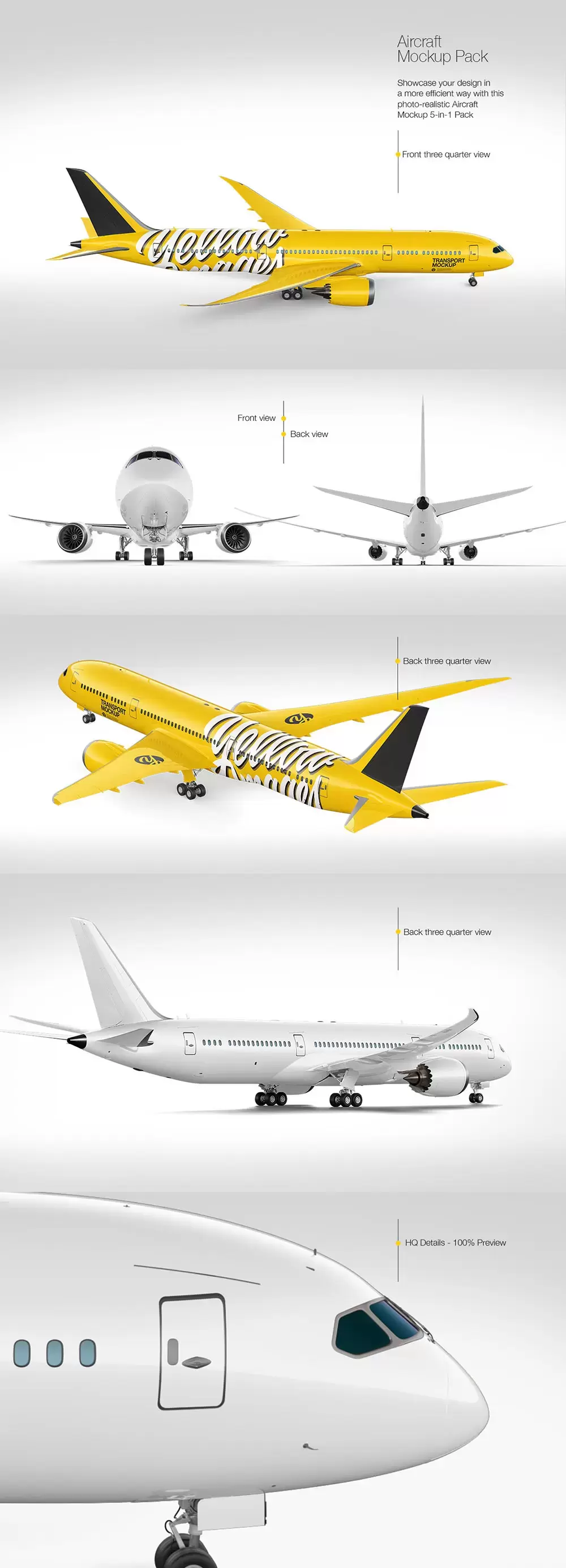 航空飞机外观广告设计样机模板 (tif)免费下载插图