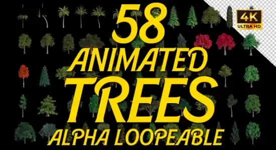 AE模板-58个植物树木循环动画视频素材 Animated Trees Alpha Loop Pack 4K