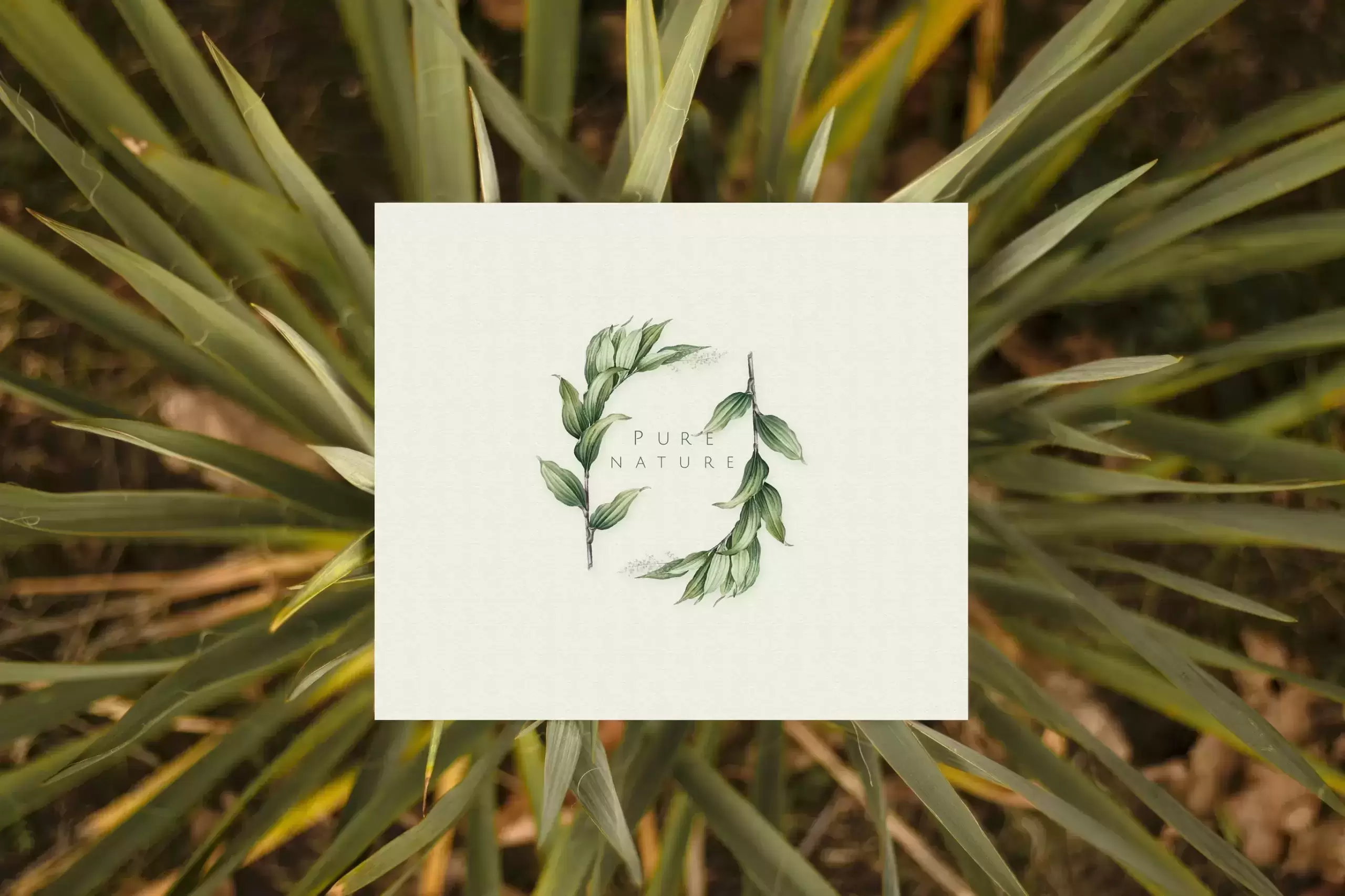 天然植物品牌Logo设计模型(PSD)免费下载