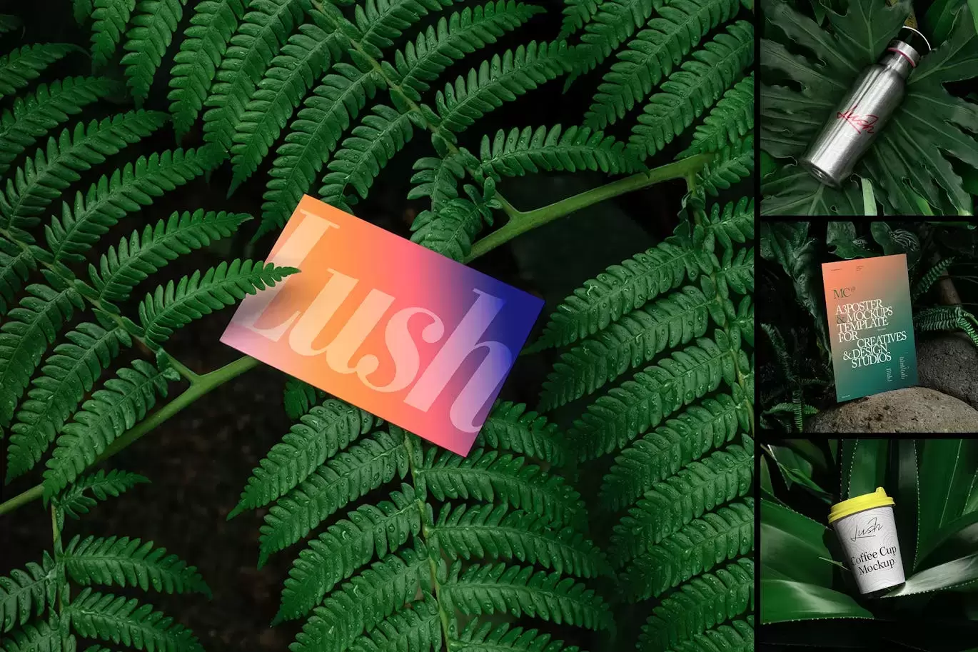 品牌模型 / Lush 系列 02 (PSD,JPG)免费下载