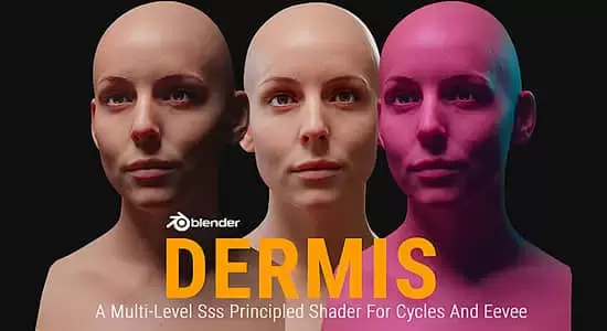 Blender插件-真实皮肤着色器预设 Dermis Shader V1.1插图