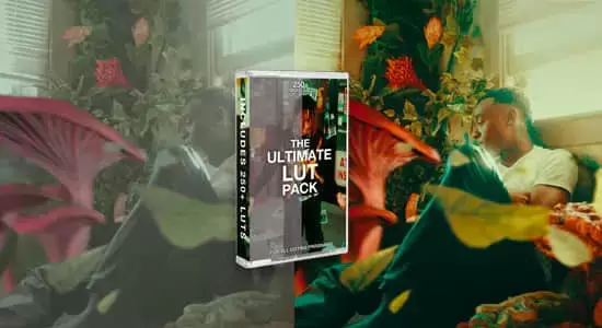 287个终极专业电影级LUTs视频调色预设 The Ultimate Lut Pack插图