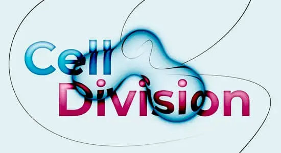 AE脚本-液体气泡融合分裂视觉效果 Cell Division V1.3