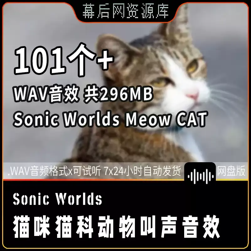 小猫咪cat宠物猫科动物撒娇发怒打架猫叫声音效
