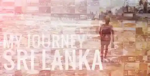 我的旅程生日和家庭旅行AE视频