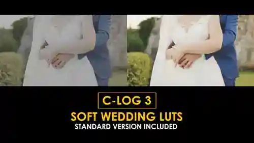 婚礼lut和婚礼电影达芬奇模板